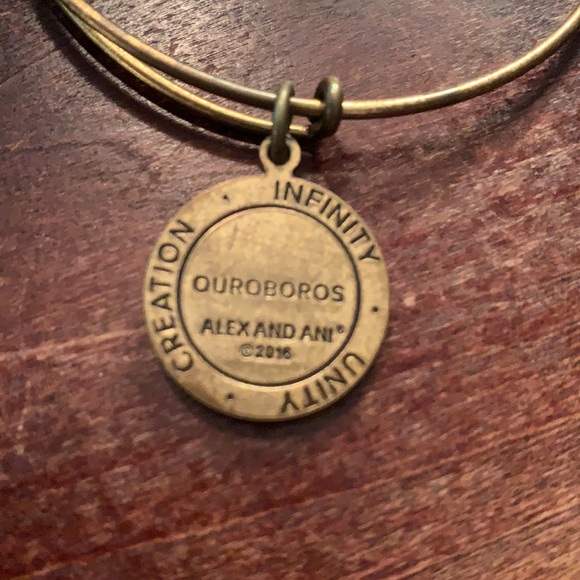 Alex & Ani Quporopos bangle - Picture 3 of 3